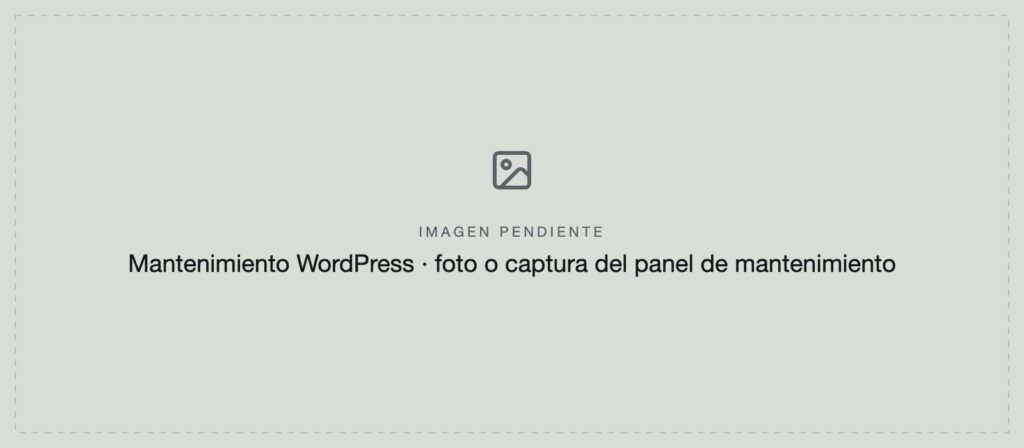 Imagen pendiente: foto o captura del panel de mantenimiento